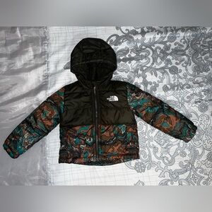 The North Face Multicolor Terrain Jacket